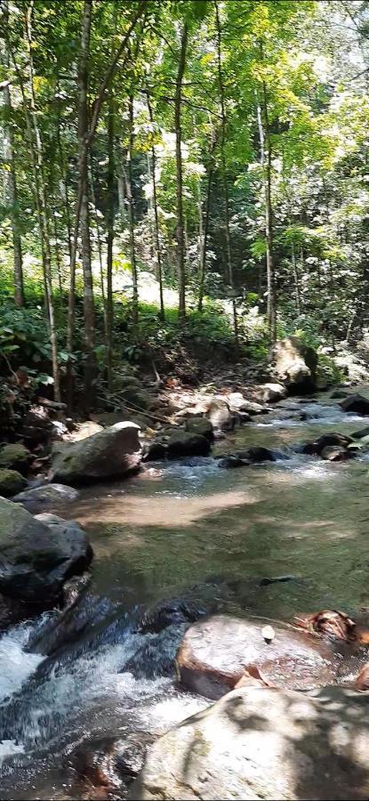 L'Javas Villas Kalibendo 외부 사진